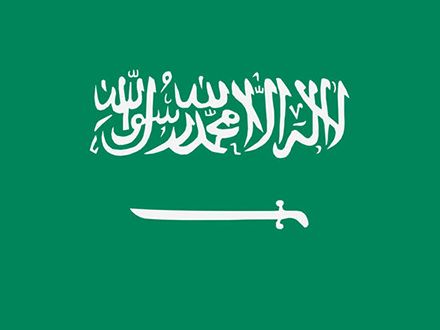 沙特推遲RoHS實施日期